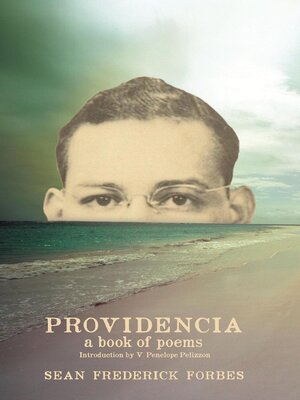 cover image of Providencia, a Book of Poems